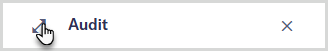 The header section of an entity audit side view, with mouse over the Expand button.
